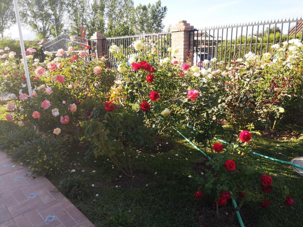 Homestay Nogales Rancagua